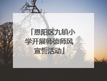 恩阳区九镇小学开展师德师风宣誓活动