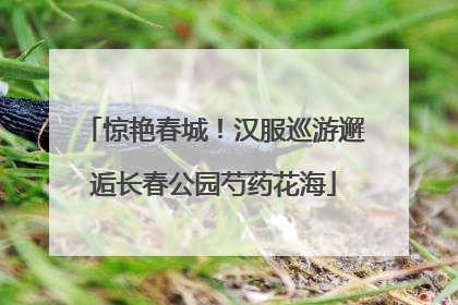 惊艳春城！汉服巡游邂逅长春公园芍药花海