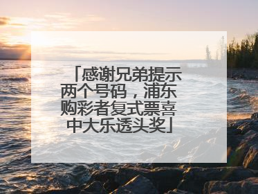 感谢兄弟提示两个号码，浦东购彩者复式票喜中大乐透头奖