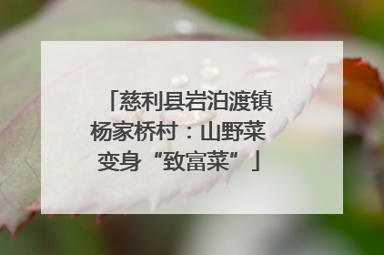 慈利县岩泊渡镇杨家桥村：山野菜变身“致富菜”