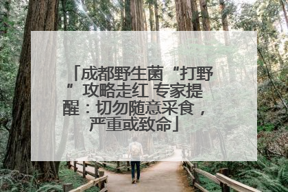 成都野生菌“打野”攻略走红 专家提醒：切勿随意采食，严重或致命