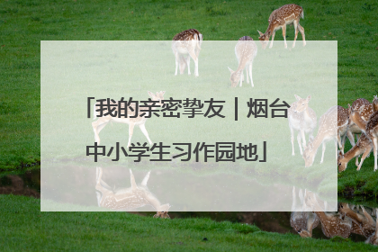 我的亲密挚友｜烟台中小学生习作园地