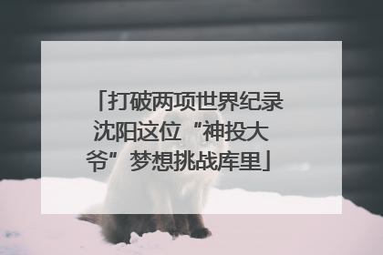 打破两项世界纪录 沈阳这位“神投大爷”梦想挑战库里