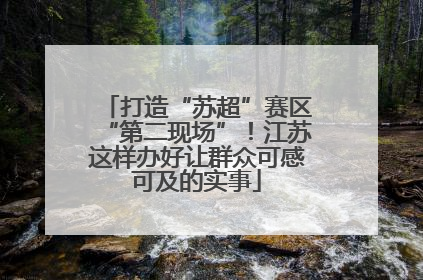 打造“苏超”赛区“第二现场”！江苏这样办好让群众可感可及的实事