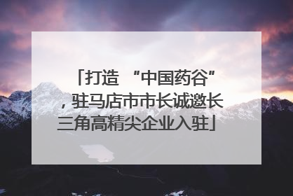 打造 “中国药谷”，驻马店市市长诚邀长三角高精尖企业入驻