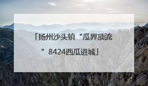 扬州沙头镇“瓜界顶流”8424西瓜进城