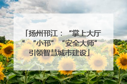 扬州邗江：“掌上大厅”“小邗”“安全大师”引领智慧城市建设