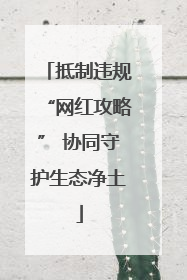 抵制违规“网红攻略” 协同守护生态净土