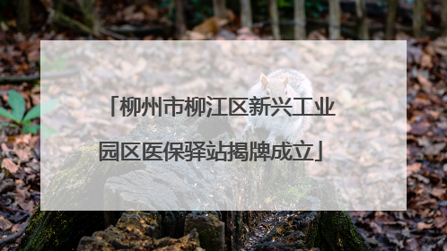 柳州市柳江区新兴工业园区医保驿站揭牌成立