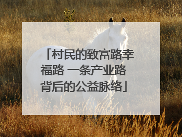 村民的致富路幸福路 一条产业路背后的公益脉络
