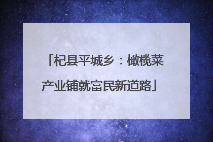 杞县平城乡：橄榄菜产业铺就富民新道路