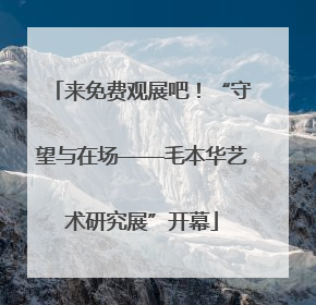 来免费观展吧！“守望与在场——毛本华艺术研究展”开幕