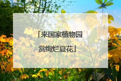 来国家植物园 赏绚烂夏花