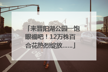 来晋阳湖公园一饱眼福吧！12万株百合花热烈绽放……