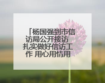 杨国强到市信访局公开接访 扎实做好信访工作 用心用情用力解决好群众急难愁盼