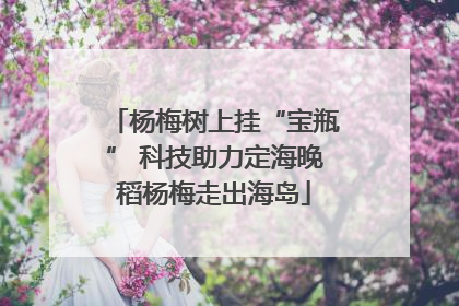 杨梅树上挂“宝瓶” 科技助力定海晚稻杨梅走出海岛