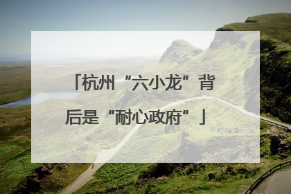 杭州“六小龙”背后是“耐心政府”