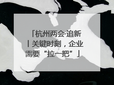 杭州两会·追新丨关键时刻，企业需要“拉一把”