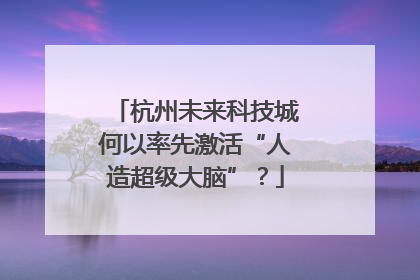 杭州未来科技城何以率先激活“人造超级大脑”？