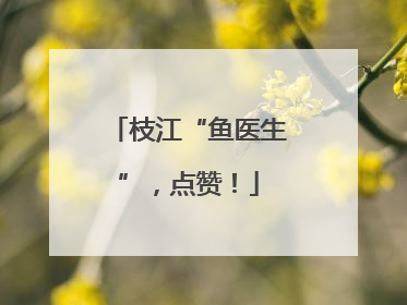 枝江“鱼医生”，点赞！