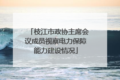 枝江市政协主席会议成员视察电力保障能力建设情况
