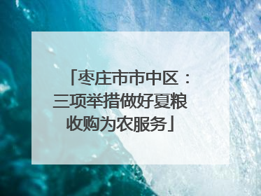 枣庄市市中区：三项举措做好夏粮收购为农服务