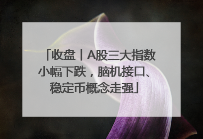 收盘丨A股三大指数小幅下跌，脑机接口、稳定币概念走强