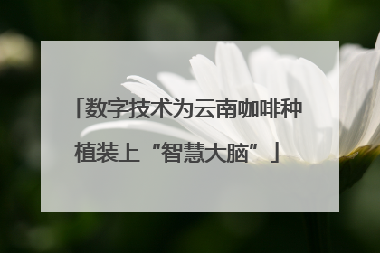 数字技术为云南咖啡种植装上“智慧大脑”