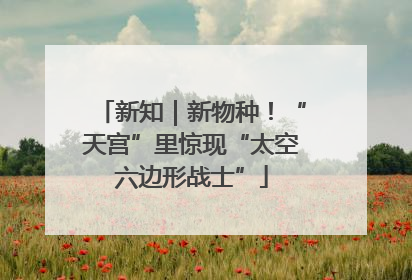 新知｜新物种！“天宫”里惊现“太空六边形战士”