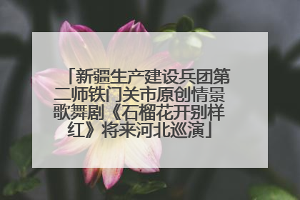新疆生产建设兵团第二师铁门关市原创情景歌舞剧《石榴花开别样红》将来河北巡演
