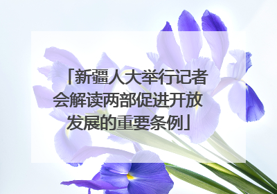 新疆人大举行记者会解读两部促进开放发展的重要条例