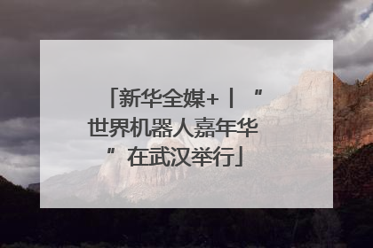 新华全媒+丨“世界机器人嘉年华”在武汉举行