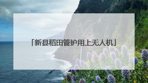 新县稻田管护用上无人机