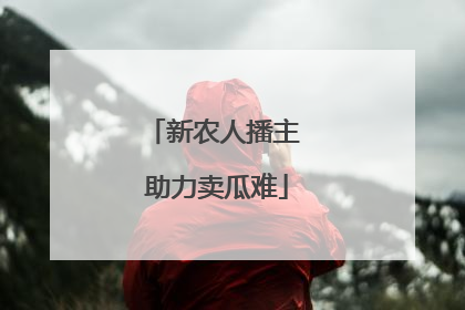 新农人播主 助力卖瓜难