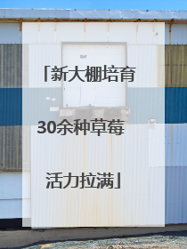 新大棚培育30余种草莓 活力拉满