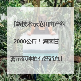 新技术示范田亩产约2000公斤！海南甘薯示范种植有好消息