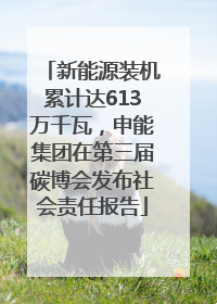 新能源装机累计达613万千瓦，申能集团在第三届碳博会发布社会责任报告