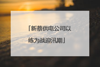 新蔡供电公司以练为战迎汛期