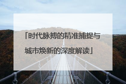 时代脉搏的精准捕捉与城市焕新的深度解读