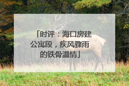 时评：海口房建公寓段，疾风骤雨的铁骨温情