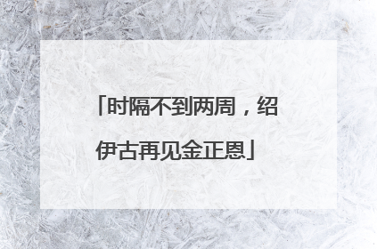 时隔不到两周，绍伊古再见金正恩