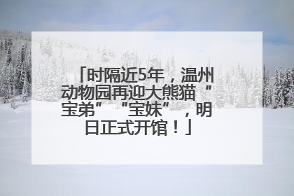 时隔近5年，温州动物园再迎大熊猫“宝弟”“宝妹”，明日正式开馆！