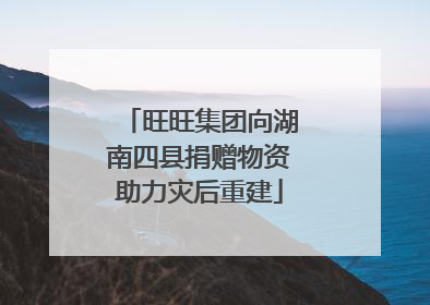 旺旺集团向湖南四县捐赠物资助力灾后重建