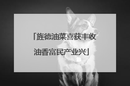旌德油菜喜获丰收 油香富民产业兴