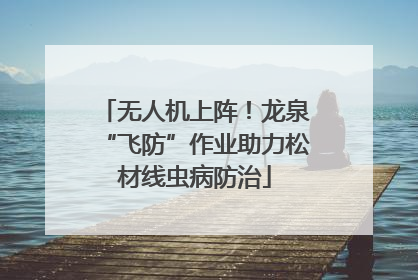 无人机上阵！龙泉“飞防”作业助力松材线虫病防治