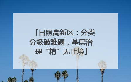 日照高新区：分类分级破难题，基层治理“精”无止境