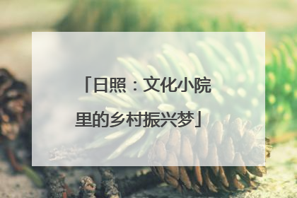 日照：文化小院里的乡村振兴梦