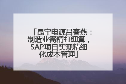 昆宇电源吕春燕：制造业需精打细算，SAP项目实现精细化成本管理