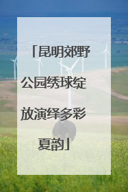 昆明郊野公园绣球绽放演绎多彩夏韵