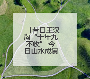 昔日王汉沟“十年九不收” 今日山水成景桃树成林